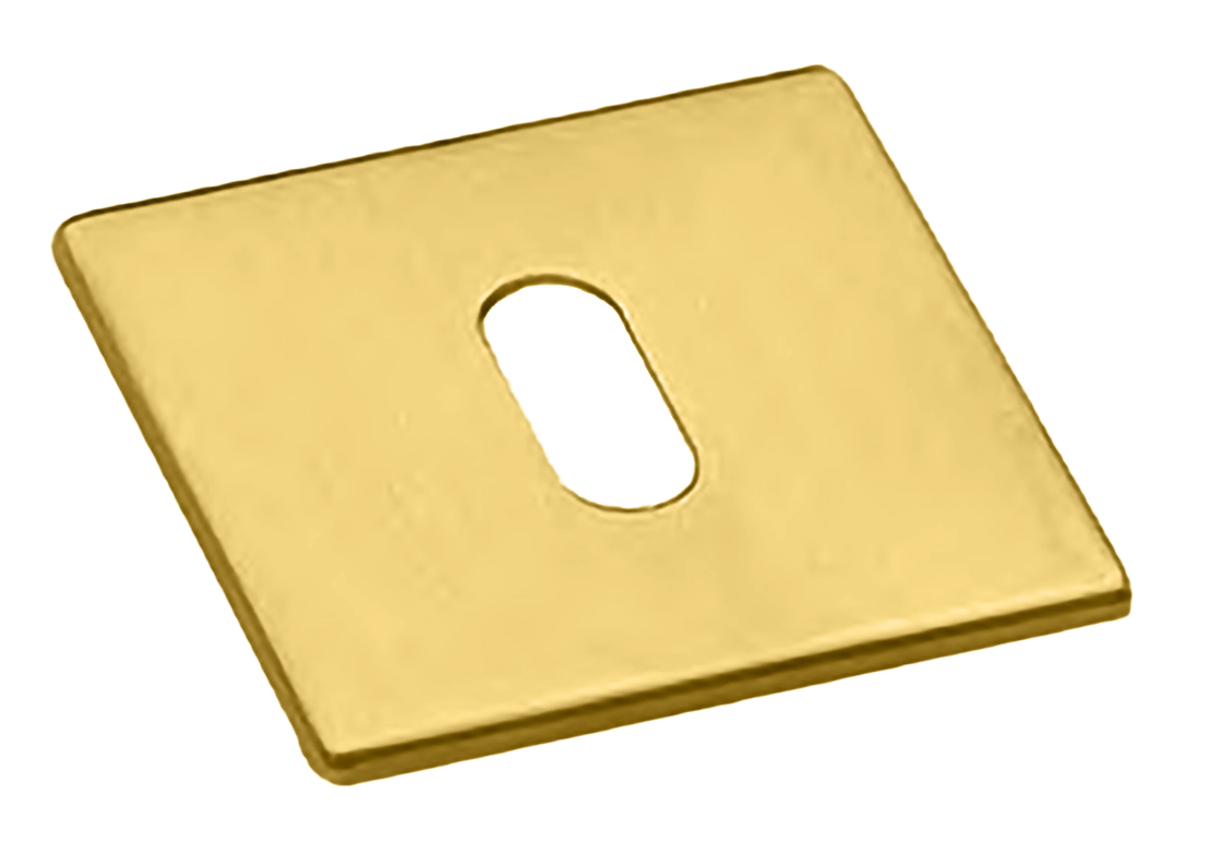 Накладка на ключевой цилиндр LUX-FK-S5 OTL на квадратной розетке под ключ буратино, цвет - золото фото купить Томск