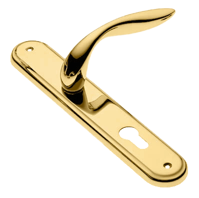 Ручка дверная на планке LEON PL OTL, цвет золото, латунь фото купить в Томске